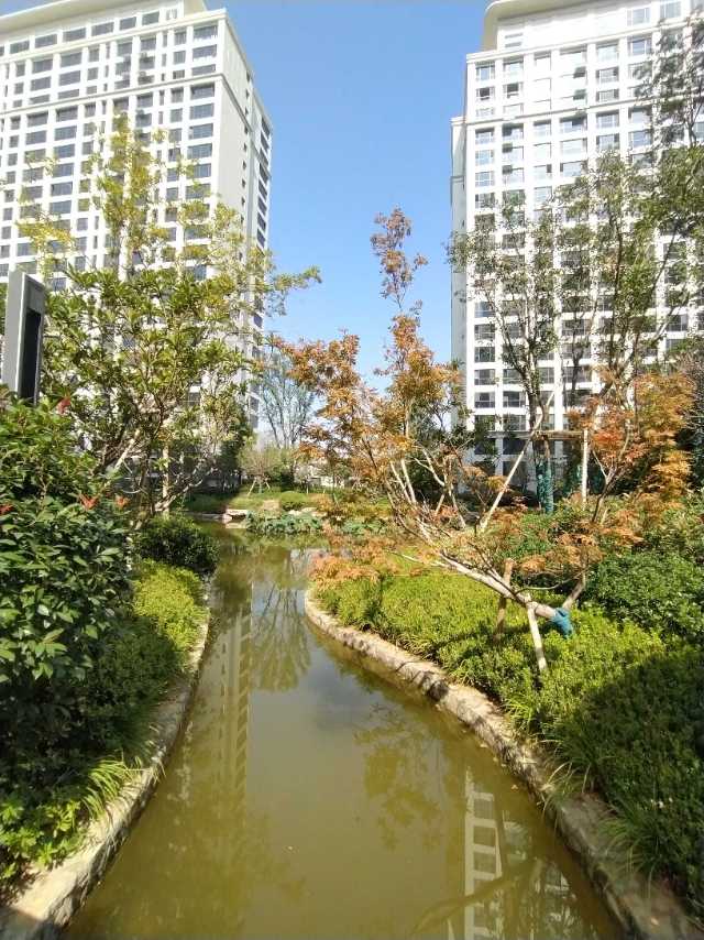 抵帐房 精装 四室一楼带50平院 让利出售