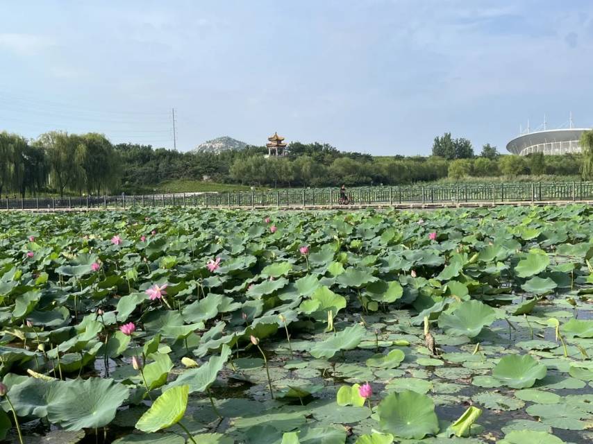 普通装修3室1厅1卫80m2850元/月