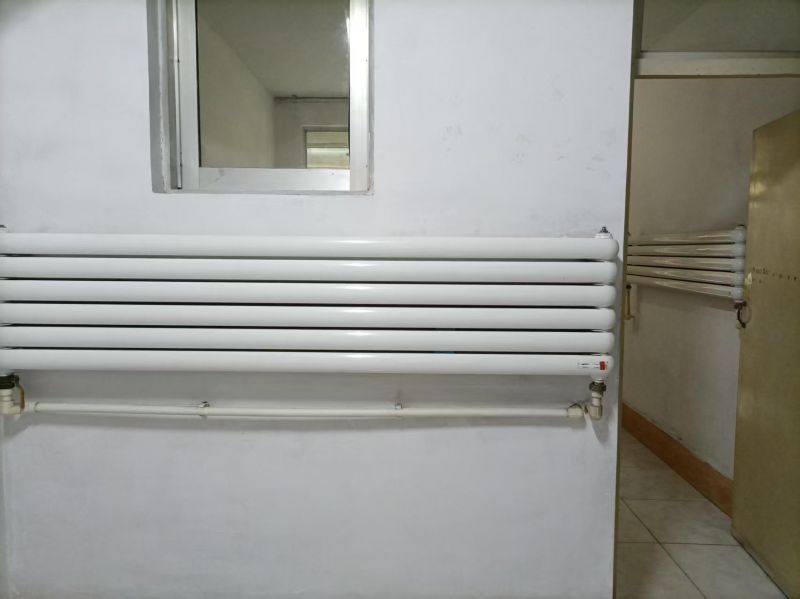 善国北路博伟电器西工商局宿舍普通装修2室1厅1卫70m21100元/月