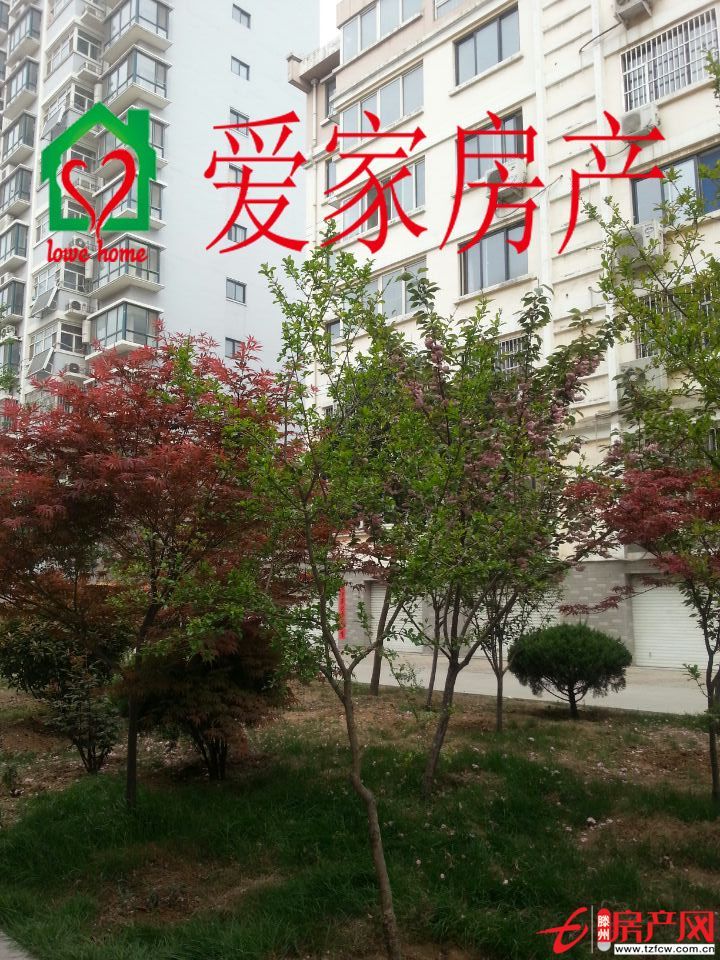 荆善南苑升值空间大，交通便利，有暖气