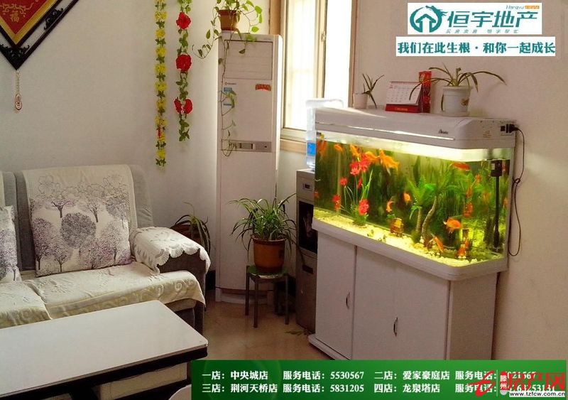 春蕾花苑优质房源低价出售