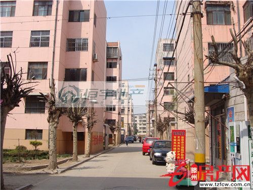 优质学区房尽可享受优质的教育