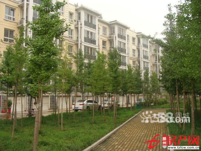金色家园黄金楼层精心装修急售
