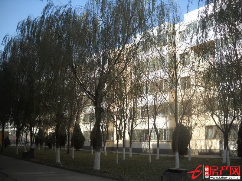 重点学区房精致户型繁华地段