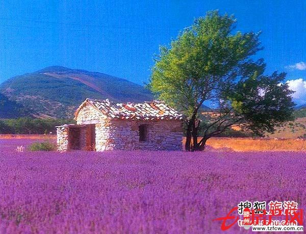 单价低的城西供暖房总价低户型好性价高证满五年