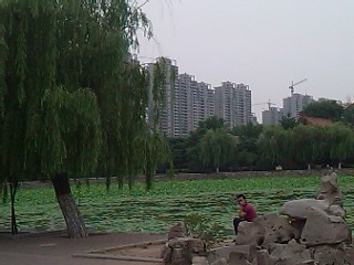 明珠花园三室户型出售