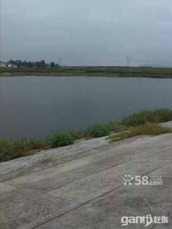 紧急出租滕州市东郭镇牛皮岭水库