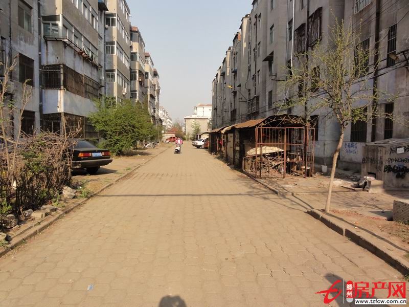 出租别墅，可商住两用，可当小饭桌、培训班使用
