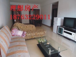 金城东区