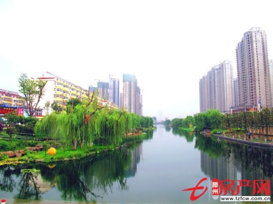 景观房，学区房
