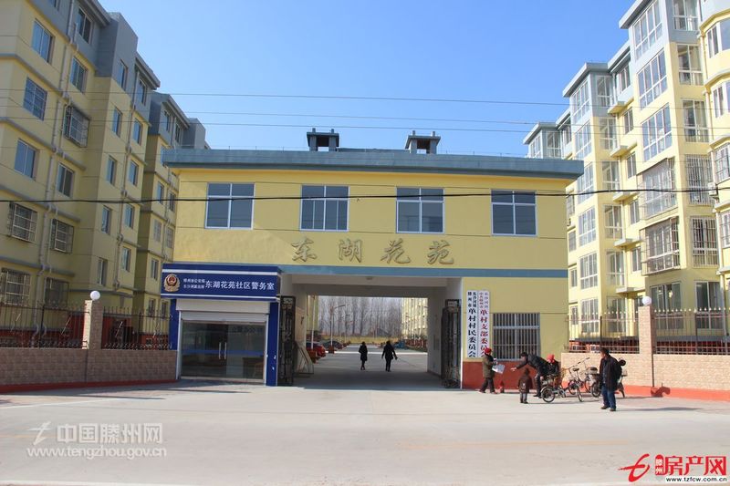 荆河东路东湖花苑小区吉房出租