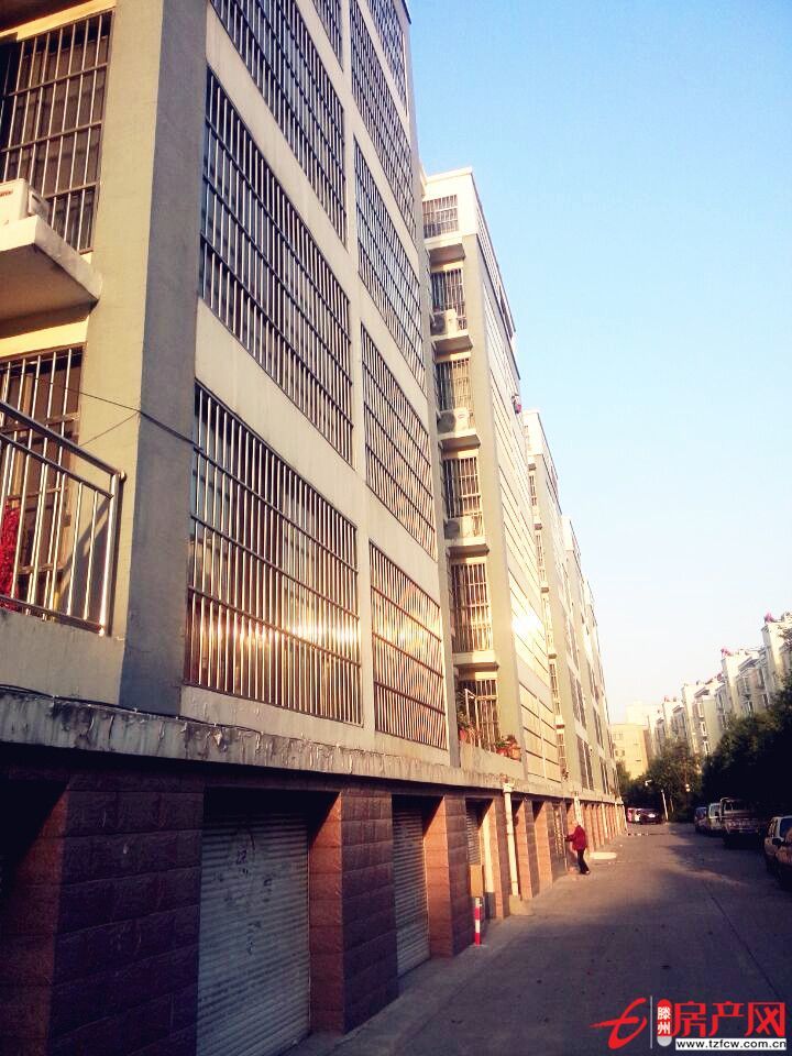 两室朝阳南北通透锦泰锦城