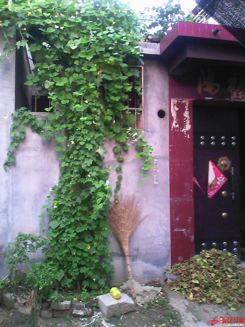 吉房出租（独院）