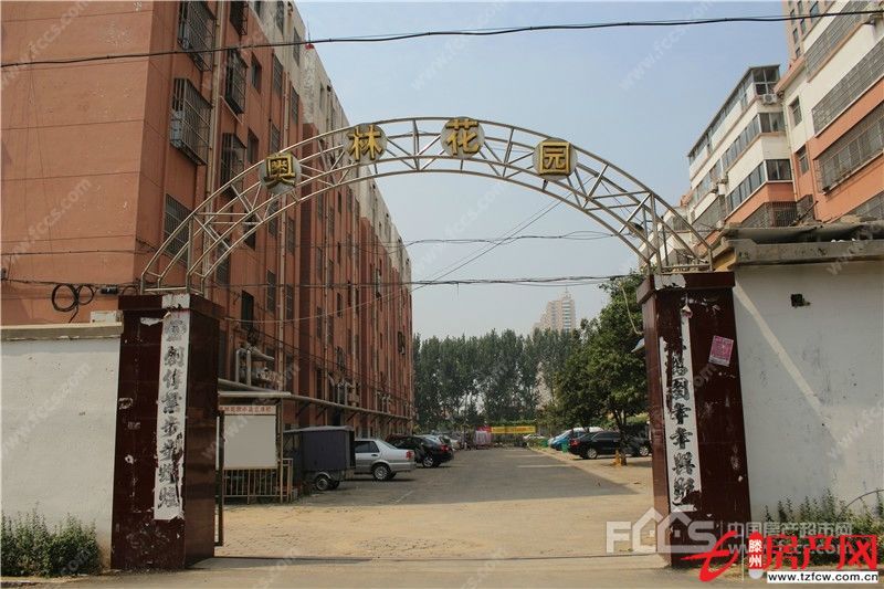 出售奥林花园，黄金四楼，稀缺多层住房，一百平方，送储藏室