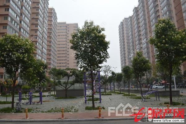 问天三期简装、环境优雅【全款】
