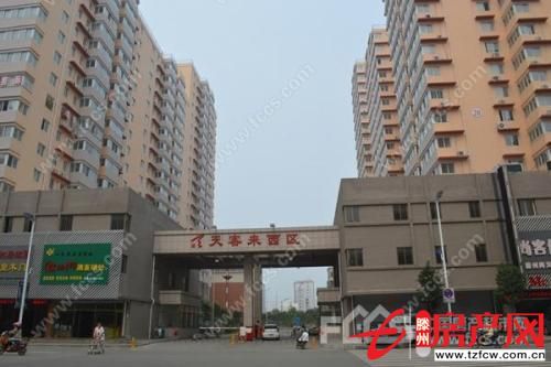 问天三期学区房