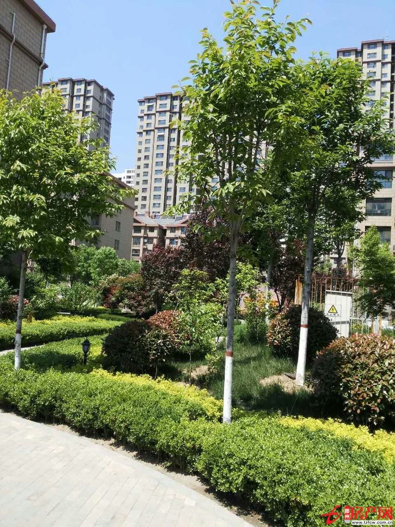 善南小区多层高，简装，有证，含储有暖