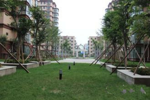 忠真新天地，精装修，两室一厅朝阳，证满两年，可贷款。