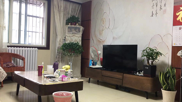 善南组团二期四楼东户精装修送储藏室可贷款南北通透