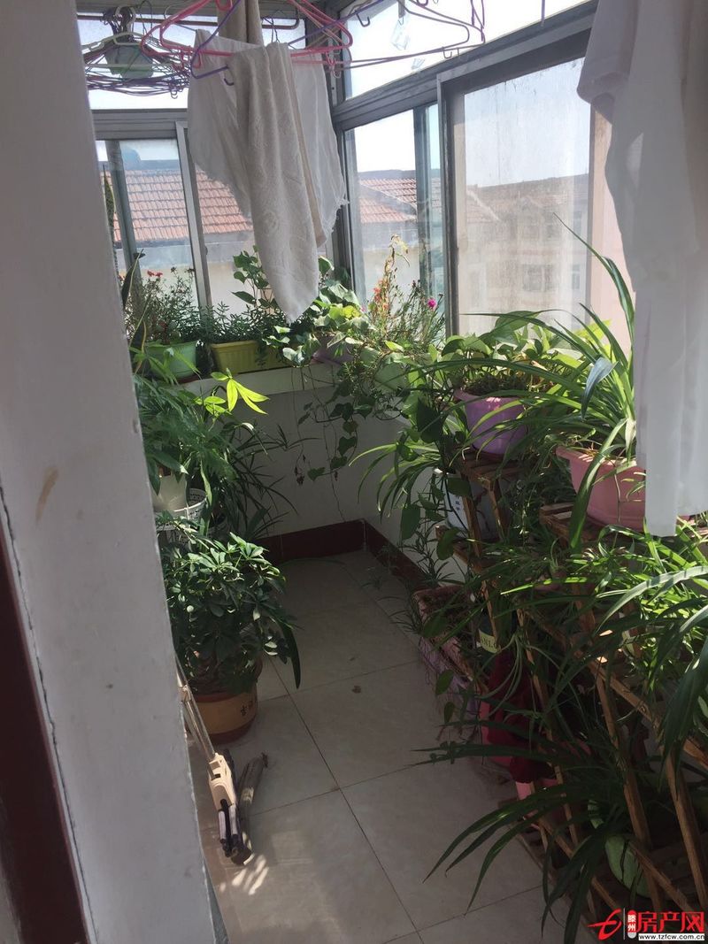 荆善安居三室一厅证满五年能贷款南北通透户型好采光好