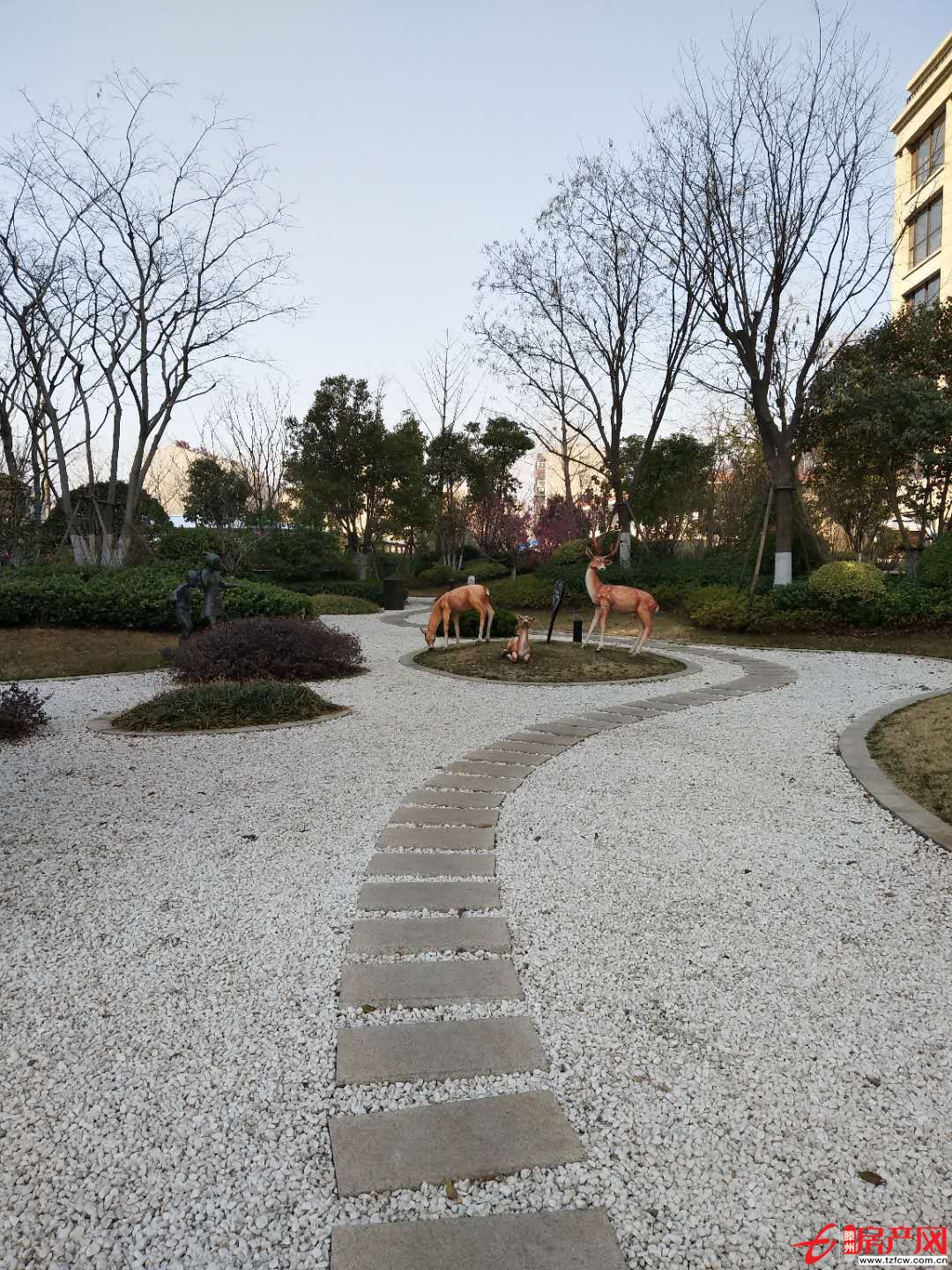 丽都水岸齐脊顶晒东 三室简装 拎包即住 证满五年可贷款