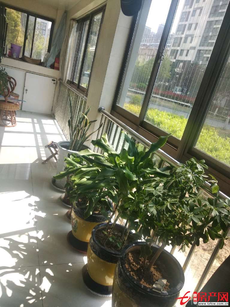 吉房出售滨江水晶城两室两厅证满两年可贷款过户费低
