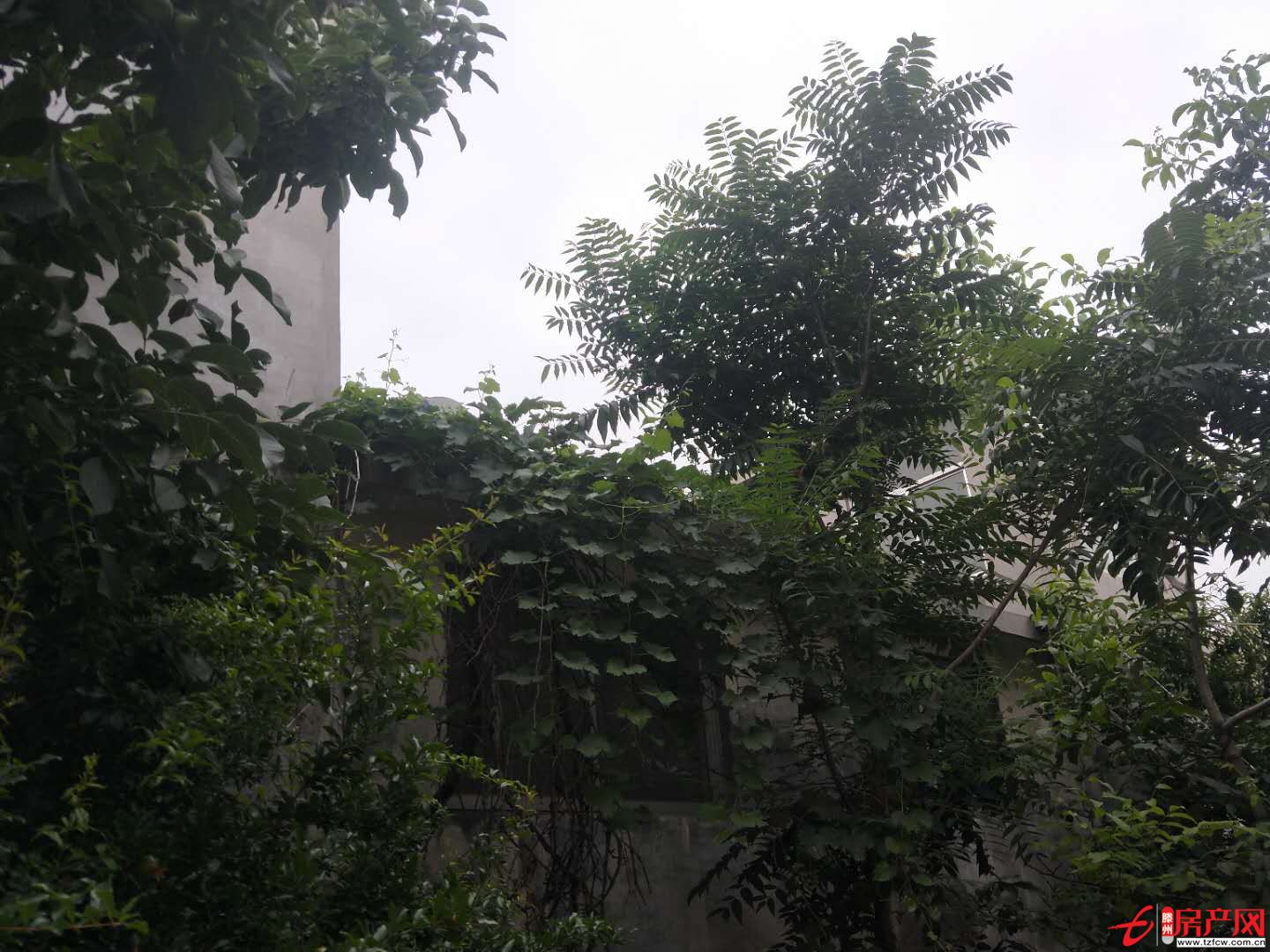 独院一座，方便清净
