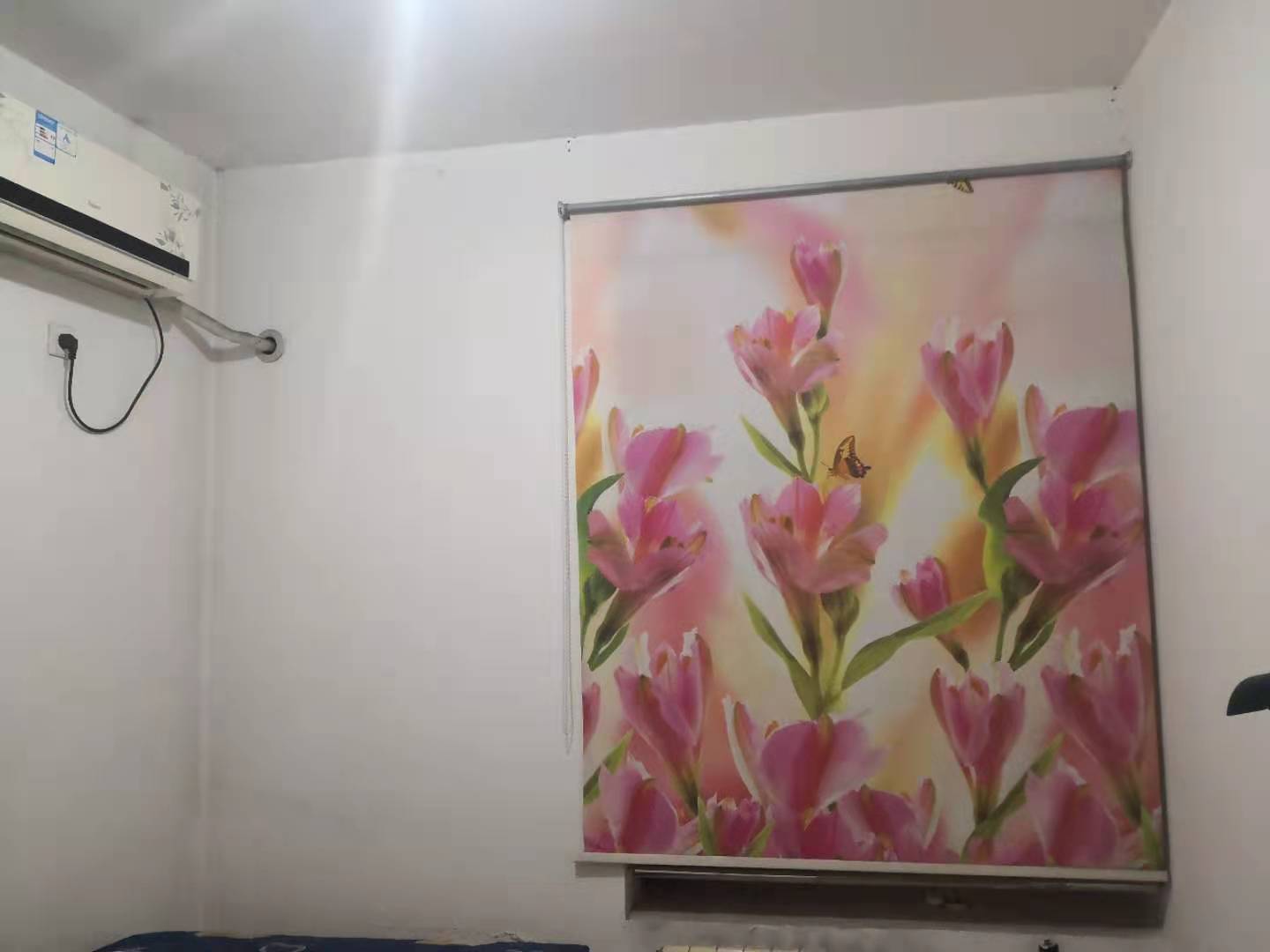 普通装修4室2厅2卫147m21800元/月