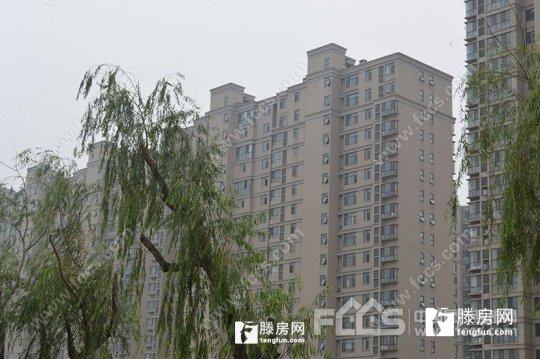普通装修2室2厅1卫98m2116万元