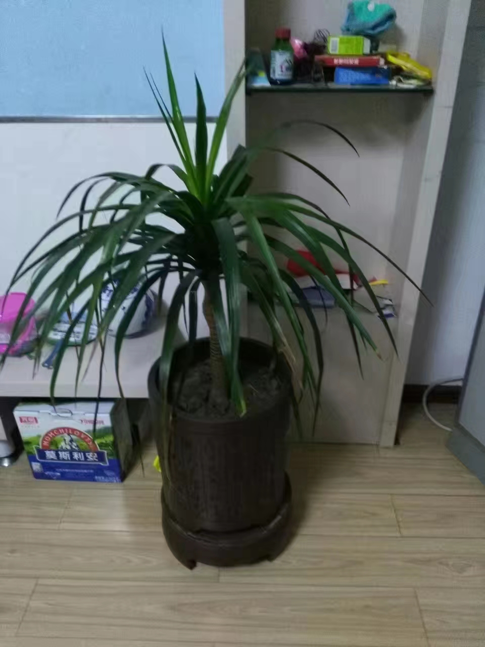 普通装修2室2厅1卫113m21900元/月